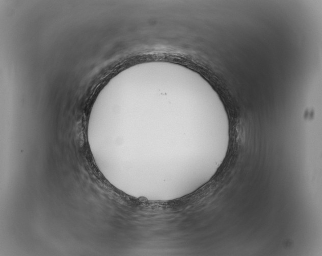 X0000110931493200907091509