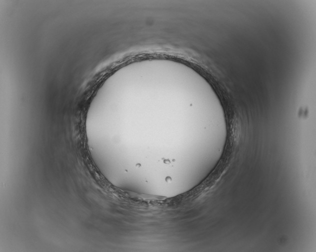 X0000110931494200907091509
