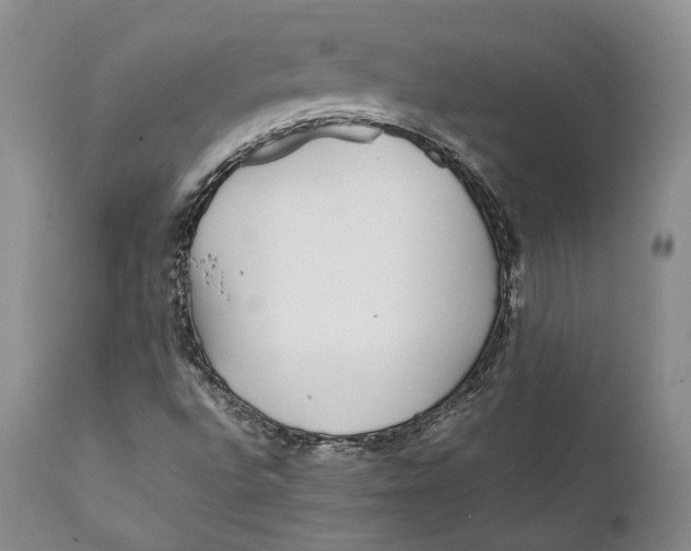 X0000110931496200907091509