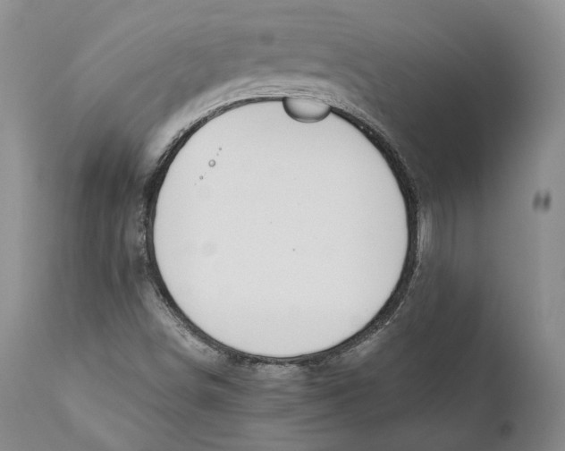 X0000110931498200907091509
