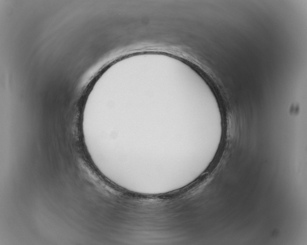 X0000110931502200907091509