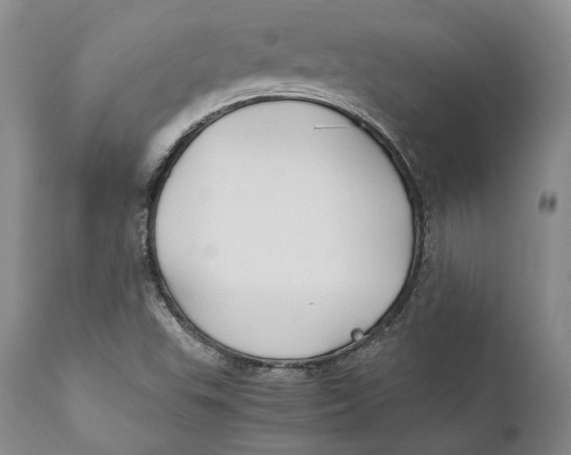 X0000110931503200907091509