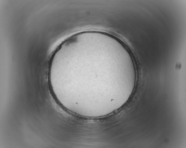 X0000110931504200907091509