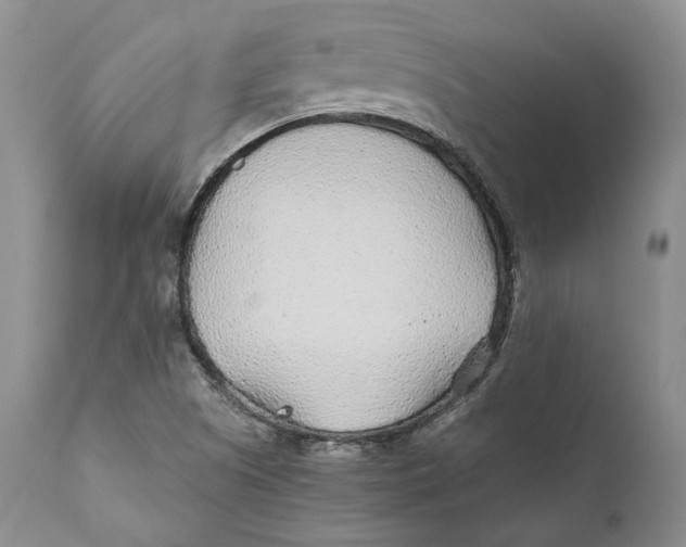 X0000110931505200907091509