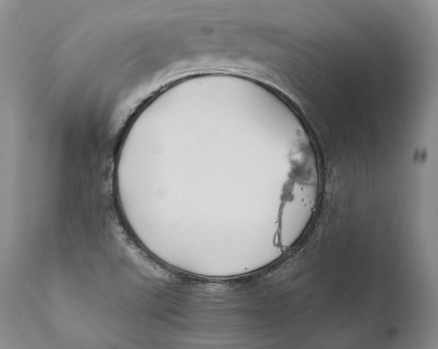 X0000110931507200907091509