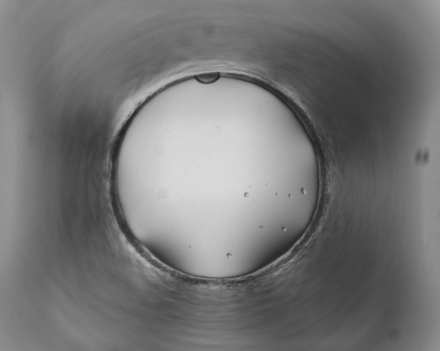 X0000110931508200907091509