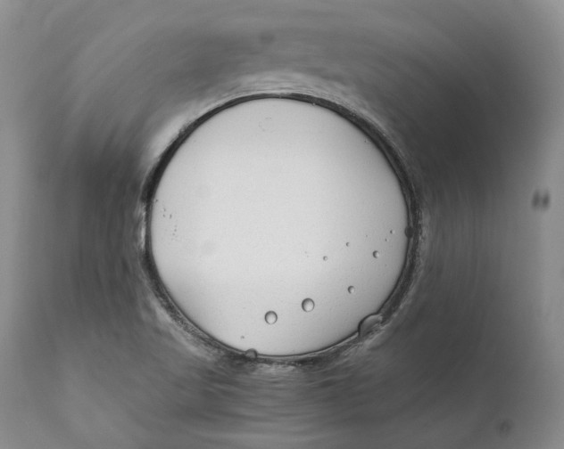 X0000110931509200907091509