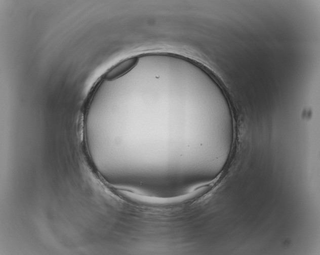 X0000110931510200907091509