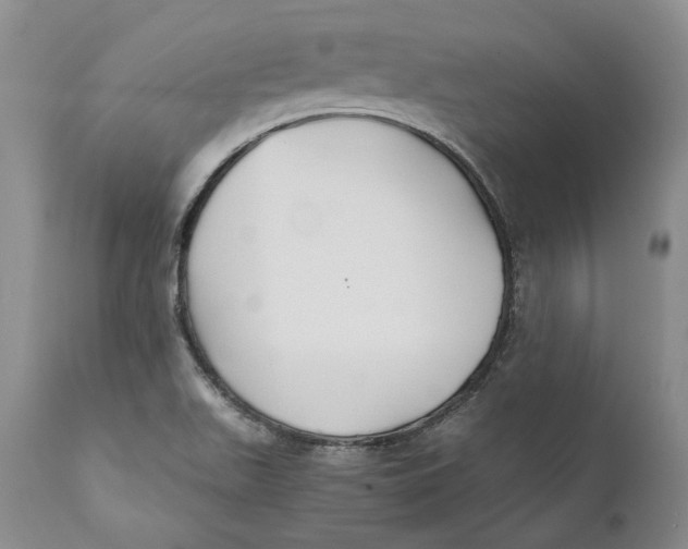 X0000110931511200907091509