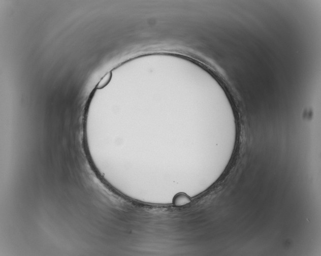 X0000110931512200907091509