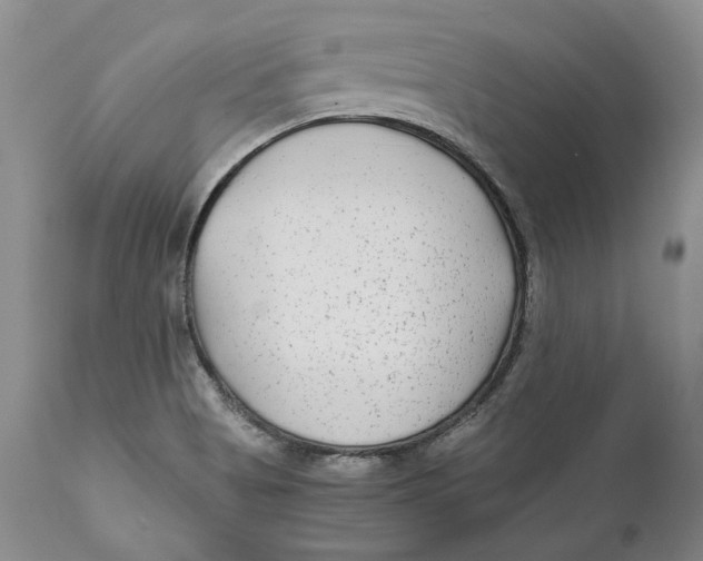 X0000110931513200907091509