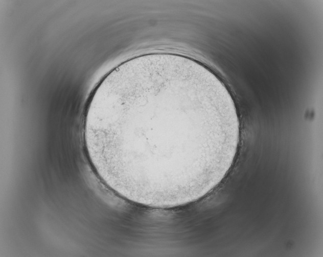 X0000110931514200907091509
