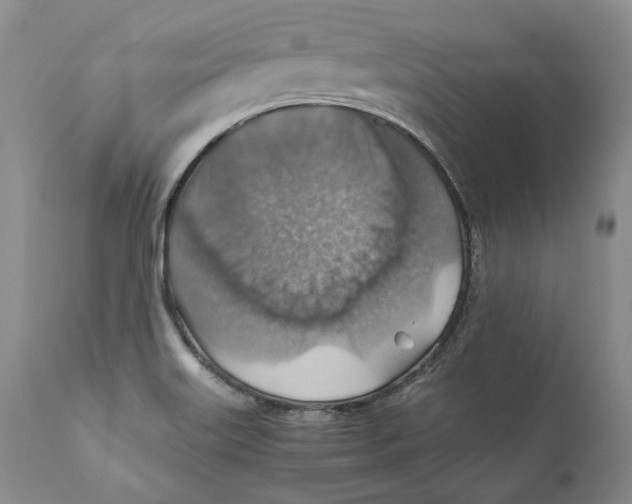 X0000110931515200907091509