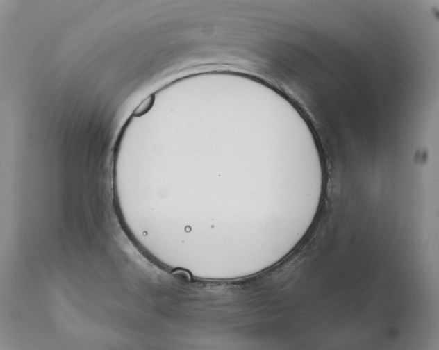 X0000110931516200907091509