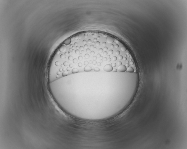 X0000110931517200907091509