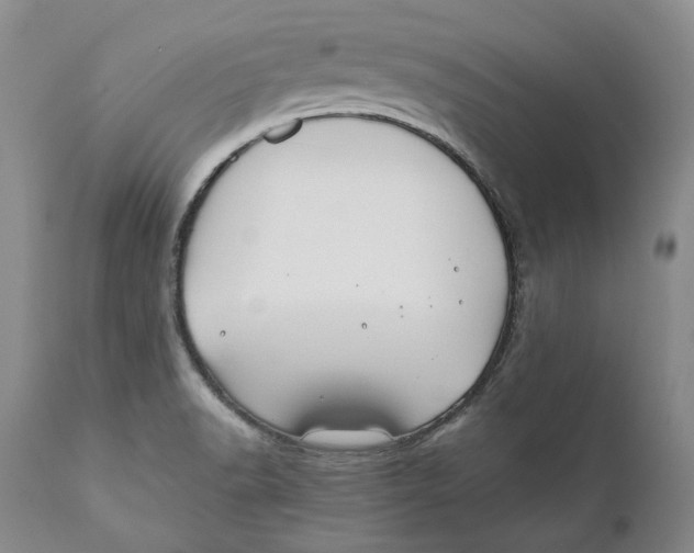 X0000110931518200907091509