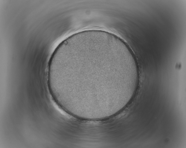 X0000110931519200907091509