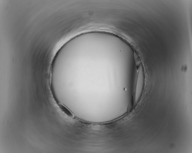 X0000110931520200907091509