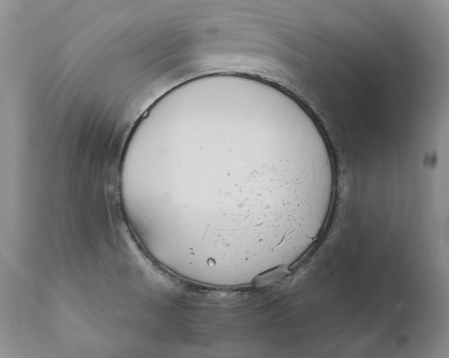X0000110931521200907091509