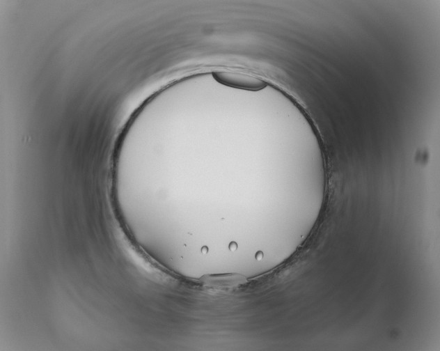 X0000110931523200907091509