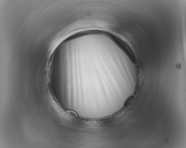 X0000110931524200907091509