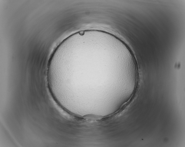 X0000110931525200907091509