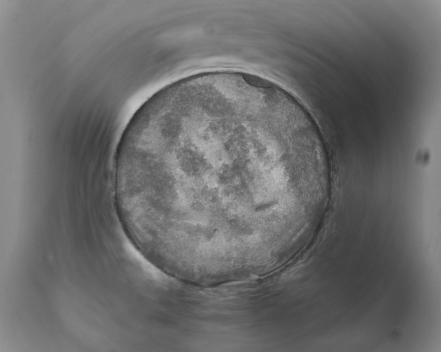 X0000110931527200907091509