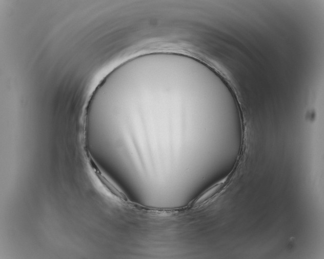 X0000110931528200907091509