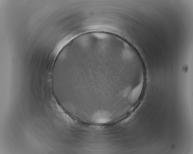 X0000110931529200907091509