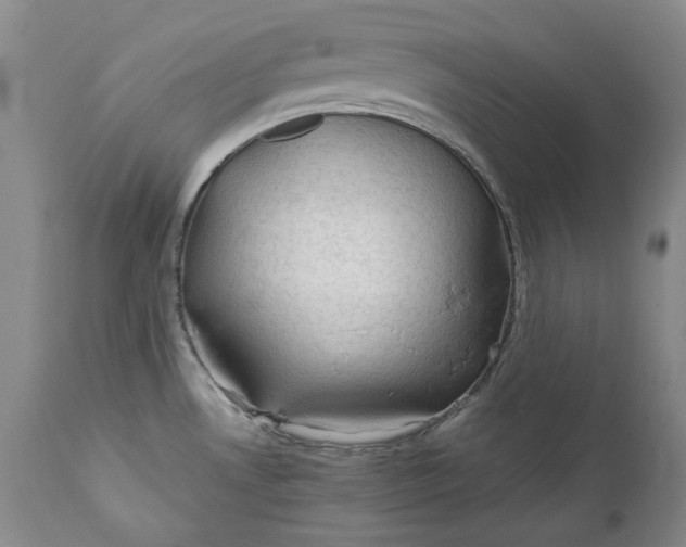 X0000110931530200907091509