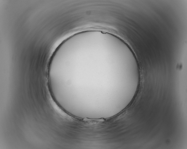 X0000110931531200907091509