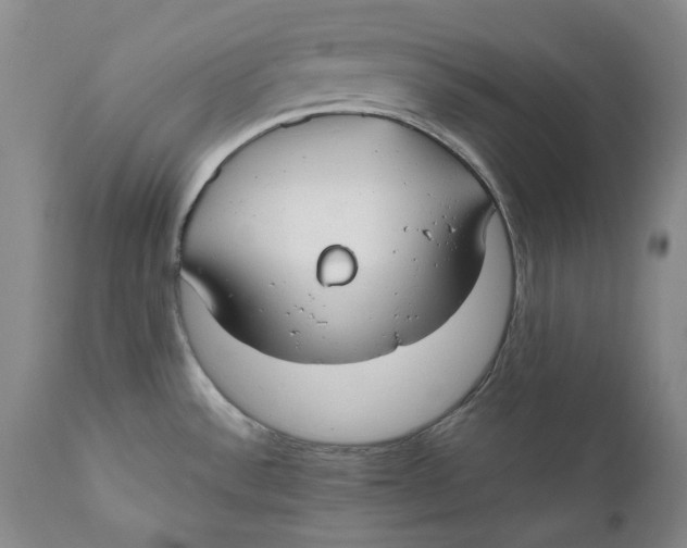 X0000110931532200907091509