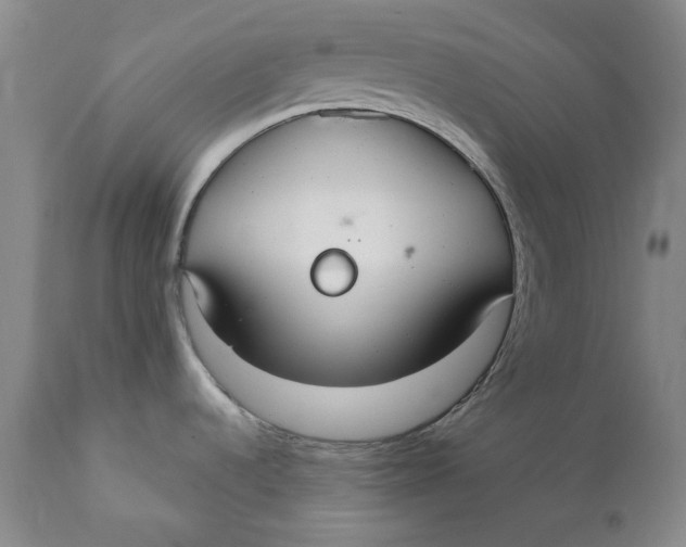 X0000110931536200907091509