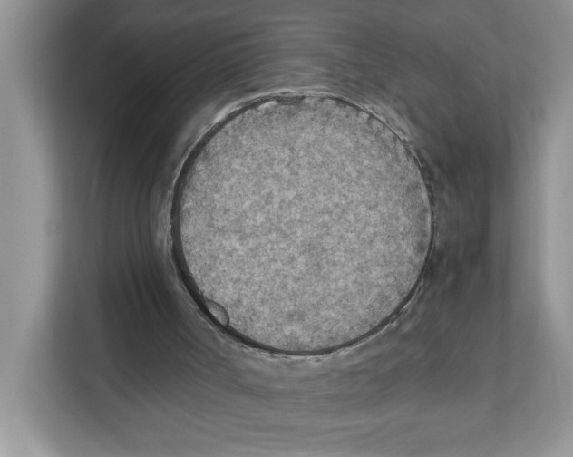 X0000110930002200907161548