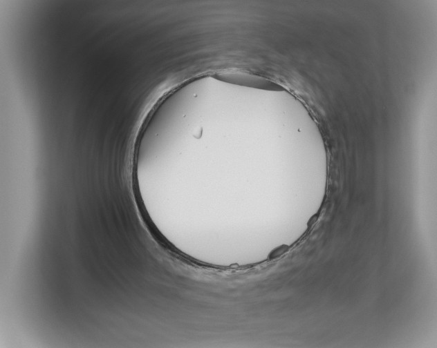 X0000110930003200907161548