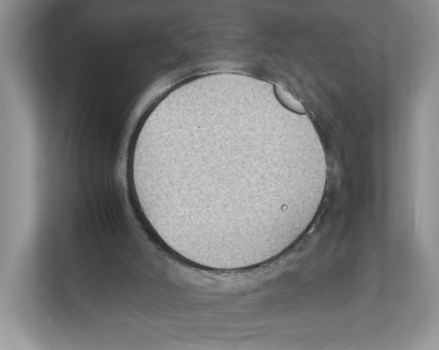 X0000110930006200907161548