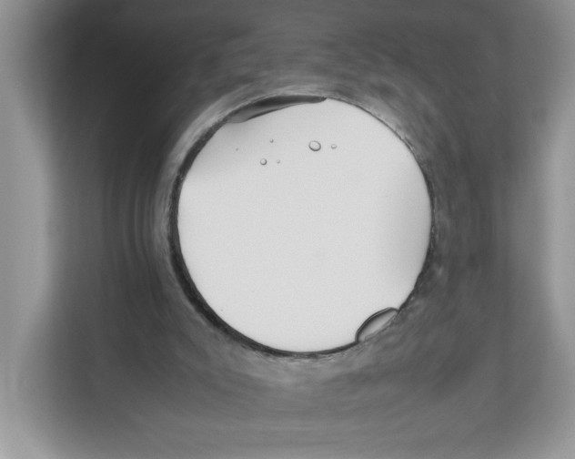 X0000110930007200907161548