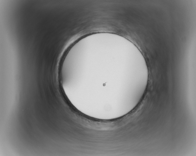 X0000110930008200907161548