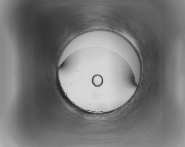 X0000110930009200907161548