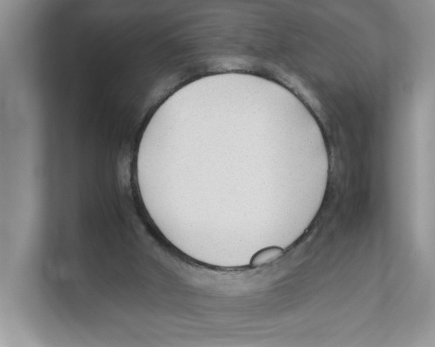 X0000110930010200907161548