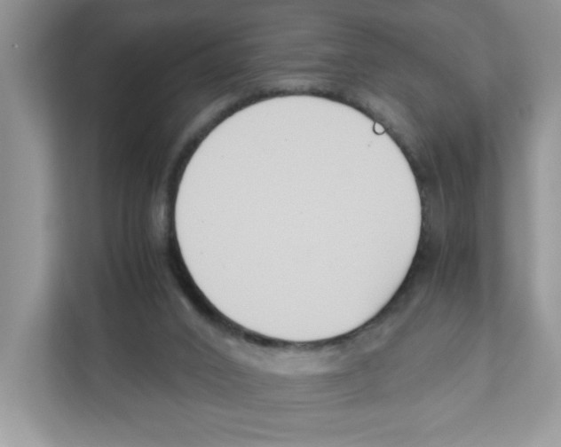 X0000110930016200907161548