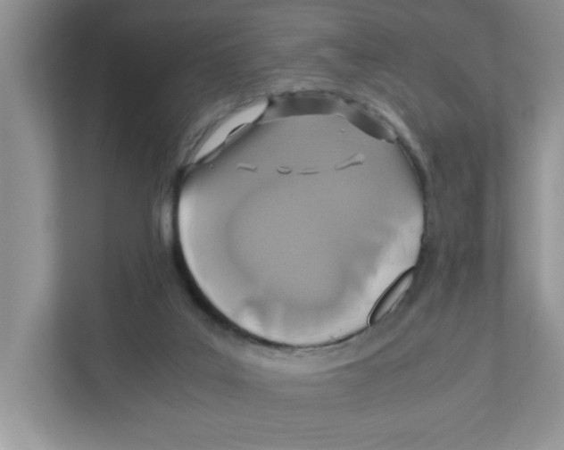 X0000110930019200907161548