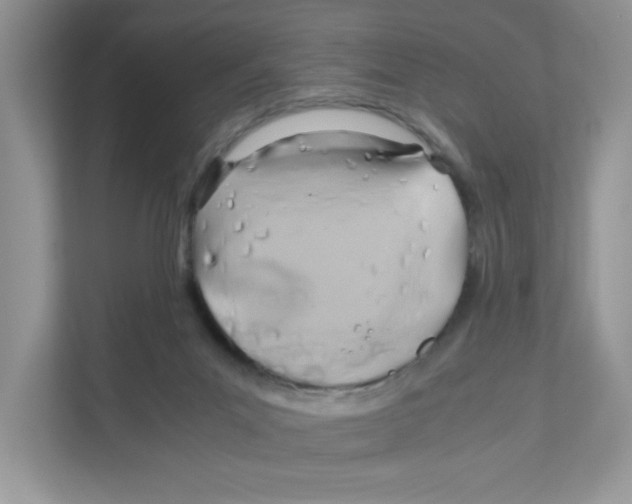 X0000110930023200907161548