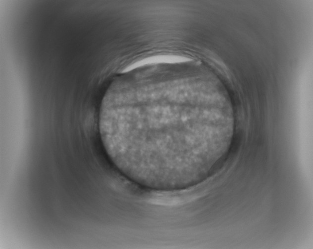 X0000110930029200907161548