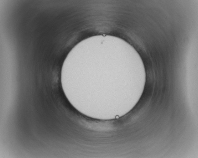 X0000110930032200907161548