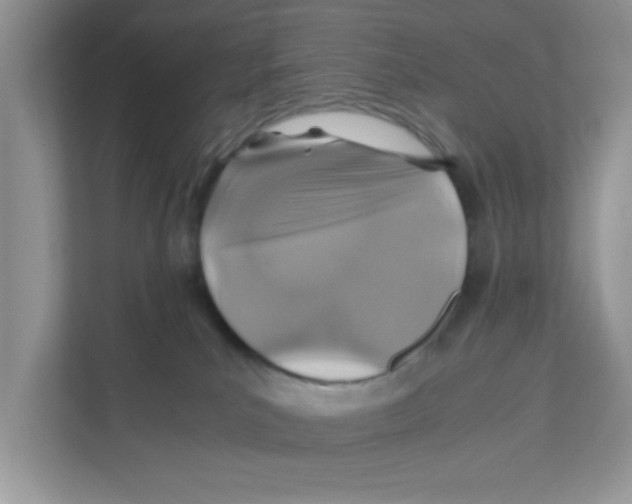 X0000110930039200907161548