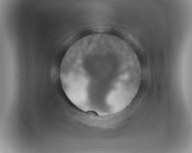 X0000110930043200907161548