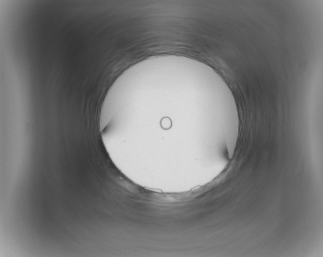 X0000110930045200907161548