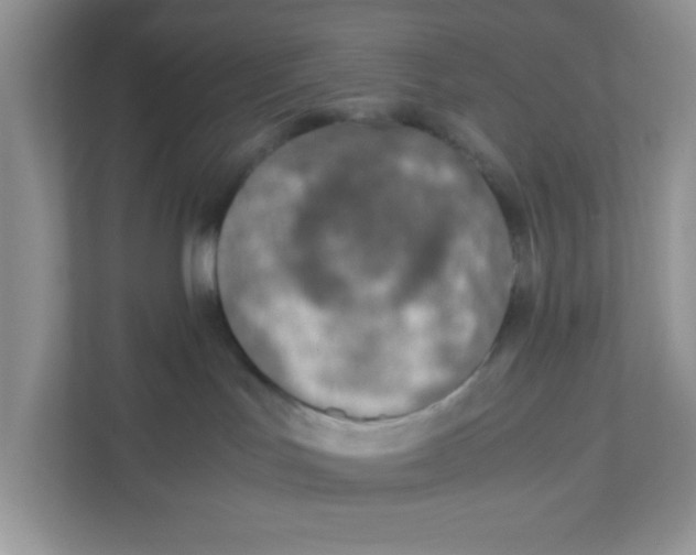 X0000110930047200907161548