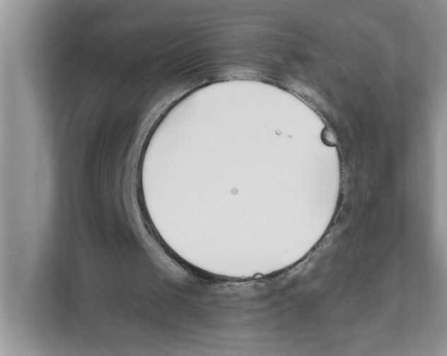 X0000110930049200907161547